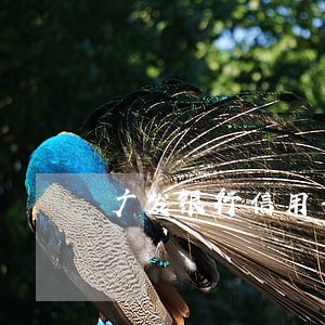 广发银行信用卡晚几天算逾期 广发银行信用卡晚几天算逾期