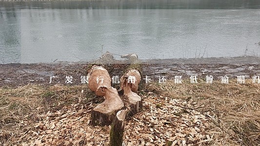广发银行信用卡还最低算逾期吗 广发银行信用卡还最低算逾期吗