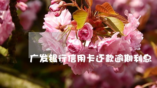 广发银行信用卡还款逾期利息 广发银行信用卡还款逾期利息