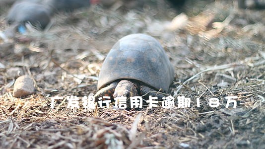 广发银行信用卡逾期18万 广发银行信用卡逾期18万