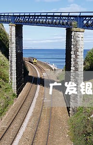 广发银行信用卡逾期18万怎么办 广发银行信用卡逾期18万怎么办