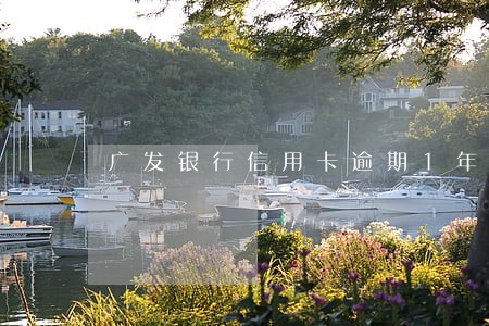 广发银行信用卡逾期1年多 广发银行信用卡逾期1年多