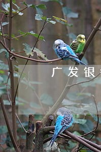 广发银行信用卡逾期2月