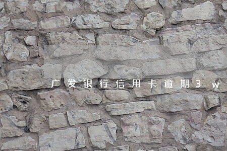 广发银行信用卡逾期3w