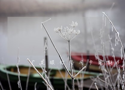 广发银行信用卡逾期3个月 广发银行信用卡逾期3个月