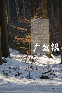 广发银行信用卡逾期8万 广发银行信用卡逾期8万