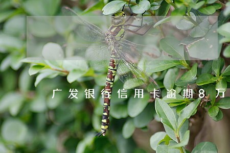 广发银行信用卡逾期8万会怎么样 广发银行信用卡逾期8万会怎么样