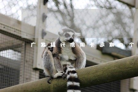 广发银行信用卡逾期8个月 广发银行信用卡逾期8个月