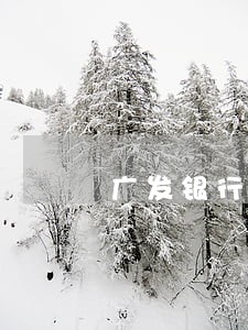 广发银行信用卡逾期91 广发银行信用卡逾期91