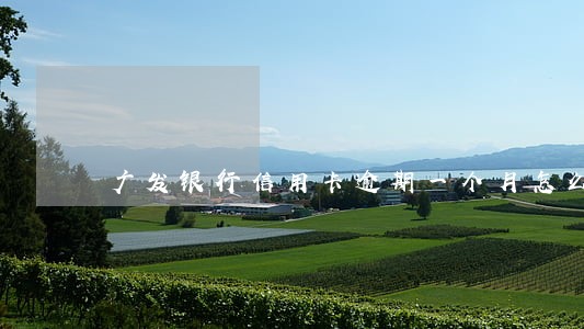 广发银行信用卡逾期一个月怎么办 广发银行信用卡逾期一个月怎么办