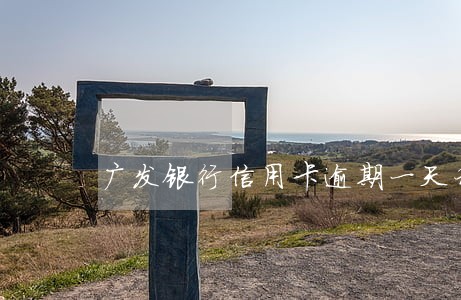 广发银行信用卡逾期一天利息 广发银行信用卡逾期一天利息