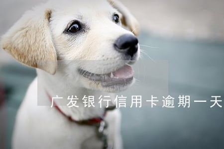 广发银行信用卡逾期一天多少利息 广发银行信用卡逾期一天多少利息