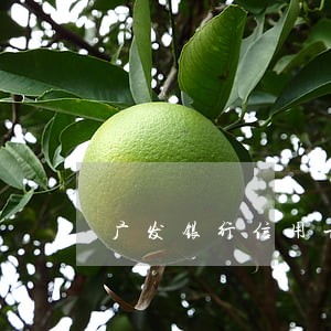 广发银行信用卡逾期一次性还款