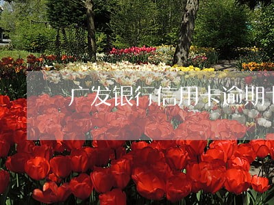 广发银行信用卡逾期七次 广发银行信用卡逾期七次