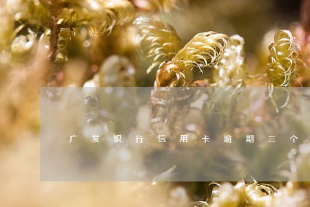 广发银行信用卡逾期三个月没还