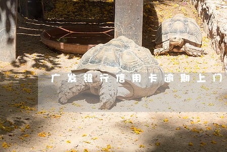 广发银行信用卡逾期上门前的征兆 广发银行信用卡逾期上门前的征兆