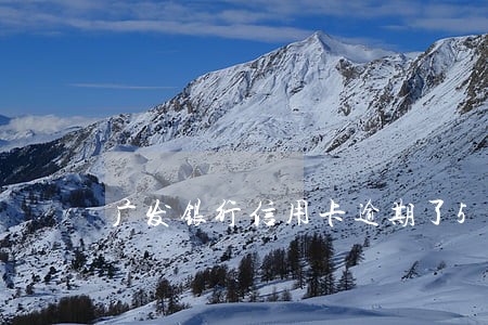 广发银行信用卡逾期了5天 广发银行信用卡逾期了5天