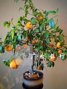 广发银行信用卡逾期了一次 广发银行信用卡逾期了一次