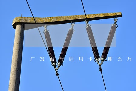 广发银行信用卡逾期五万三年 广发银行信用卡逾期五万三年