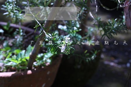 广发银行信用卡逾期几天联系 广发银行信用卡逾期几天联系