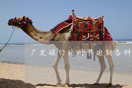 广发银行信用卡逾期各种减免 广发银行信用卡逾期各种减免
