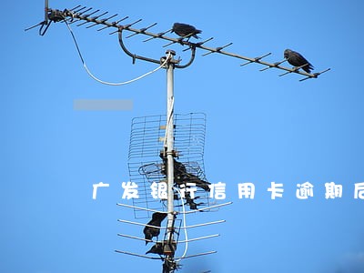 广发银行信用卡逾期后