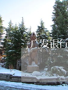 广发银行信用卡逾期在哪查 广发银行信用卡逾期在哪查