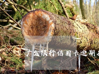 广发银行信用卡逾期在用 广发银行信用卡逾期在用