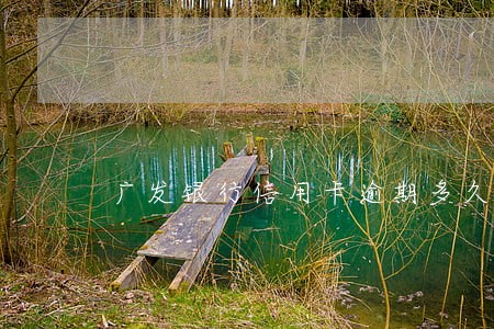 广发银行信用卡逾期多久上报征信