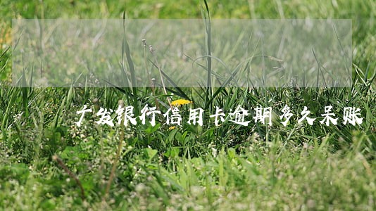 广发银行信用卡逾期多久呆账