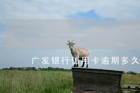 广发银行信用卡逾期多久恢复 广发银行信用卡逾期多久恢复