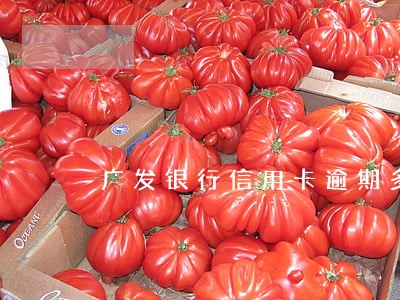 广发银行信用卡逾期多久还款 广发银行信用卡逾期多久还款