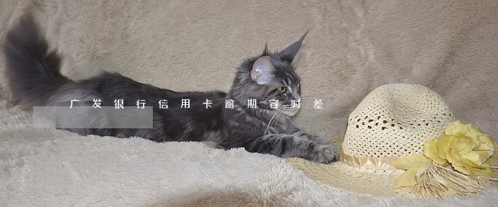 广发银行信用卡逾期容时差 广发银行信用卡逾期容时差