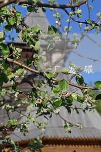 广发银行信用卡逾期宽限 广发银行信用卡逾期宽限