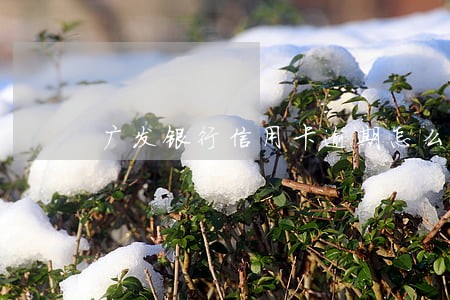 广发银行信用卡逾期怎么退息