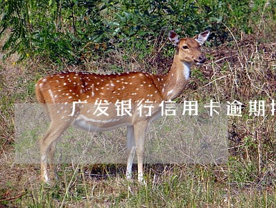 广发银行信用卡逾期报警多久