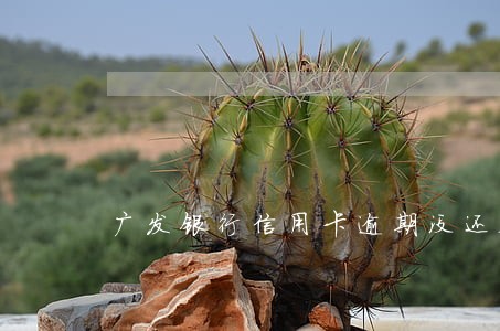 广发银行信用卡逾期没还会怎样 广发银行信用卡逾期没还会怎样