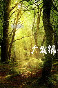 广发银行信用卡逾期短信模版