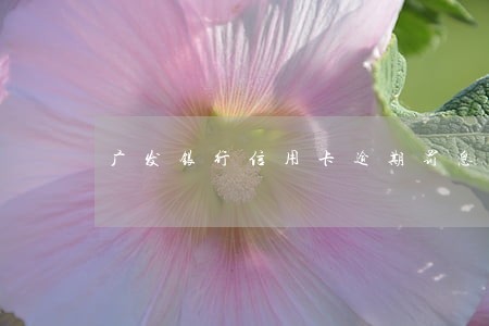 广发银行信用卡逾期罚息 广发银行信用卡逾期罚息