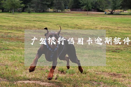广发银行信用卡逾期被停用 广发银行信用卡逾期被停用