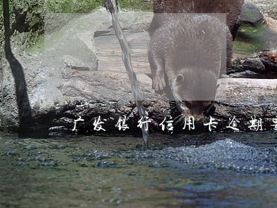 广发银行信用卡逾期要还全部 广发银行信用卡逾期要还全部