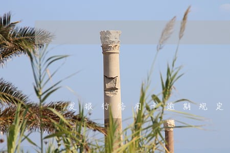 广发银行信用卡逾期规定 广发银行信用卡逾期规定