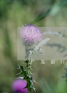 广发银行信用卡逾期解冻 广发银行信用卡逾期解冻