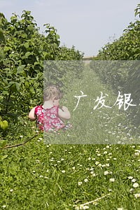 广发银行信用卡逾期说上门调查