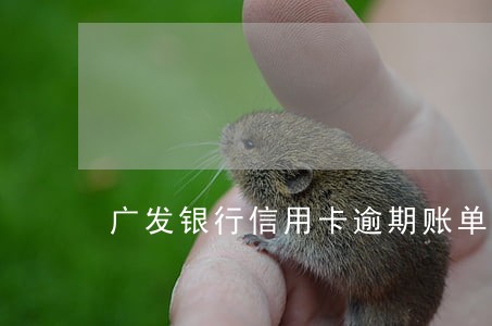 广发银行信用卡逾期账单 广发银行信用卡逾期账单