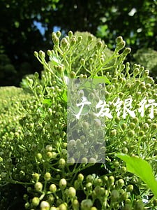 广发银行信用卡逾期账单6万 广发银行信用卡逾期账单6万