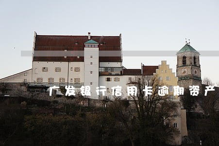 广发银行信用卡逾期资产保全 广发银行信用卡逾期资产保全