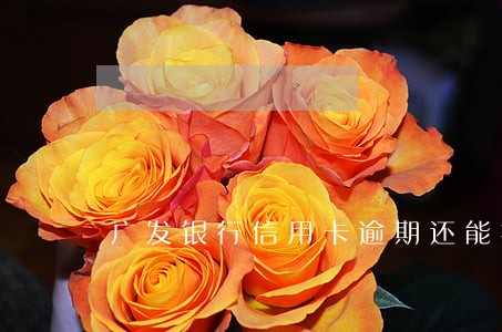 广发银行信用卡逾期还能提额