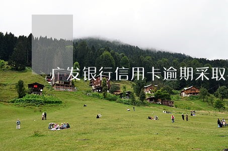 广发银行信用卡逾期采取措施 广发银行信用卡逾期采取措施