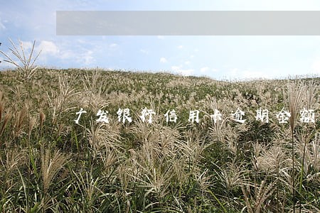 广发银行信用卡逾期金额7万